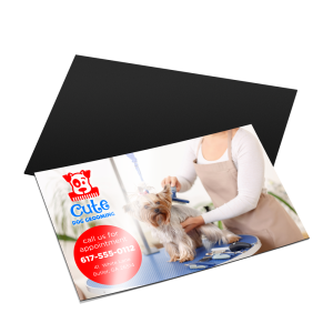 Custom printed Magnets by IWN Printing Chicago